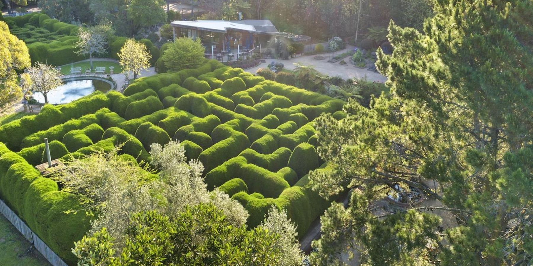 Ashcombe Maze Main Ridge Red HIll Mornington Peninsula